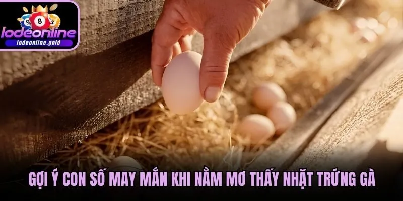 Gợi ý con số may mắn khi nằm mơ thấy nhặt trứng gà